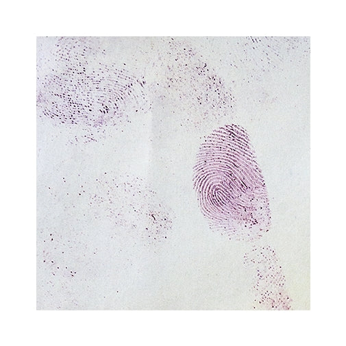 Sirchie Ninhydrin Aerosol Spray 11oz forensic fingerprint developer 201C