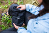 Person holding a black Gerber pouch while seated in nature, showcasing outdoor gear in use.