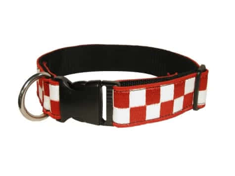 Boston Leather 1 1/2 Decorative Embroidered Collar - K-9 Gear