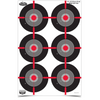 Birchwood Casey Dirty Bird 12x18 bull's-eye target sheet featuring multiple shooting spots for fast shot correction.