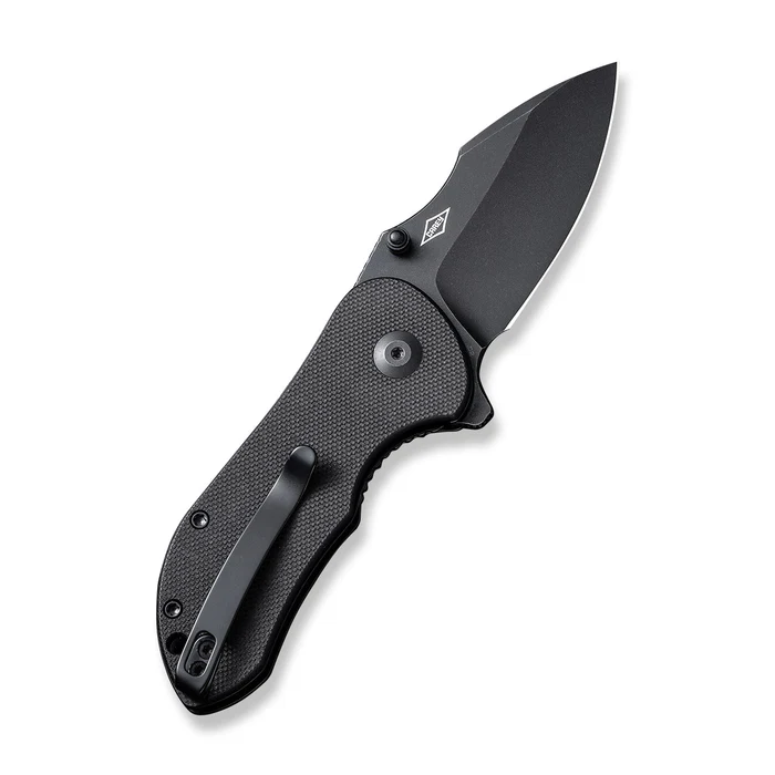 CIVIVI Gordo Flipper Knife with black G10 handle and 2.51-inch D2 blade, perfect for everyday carry and various cutting tasks.