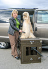 CoolK9 Dog Crate/Kennel A/C Cooling System by CoolCop