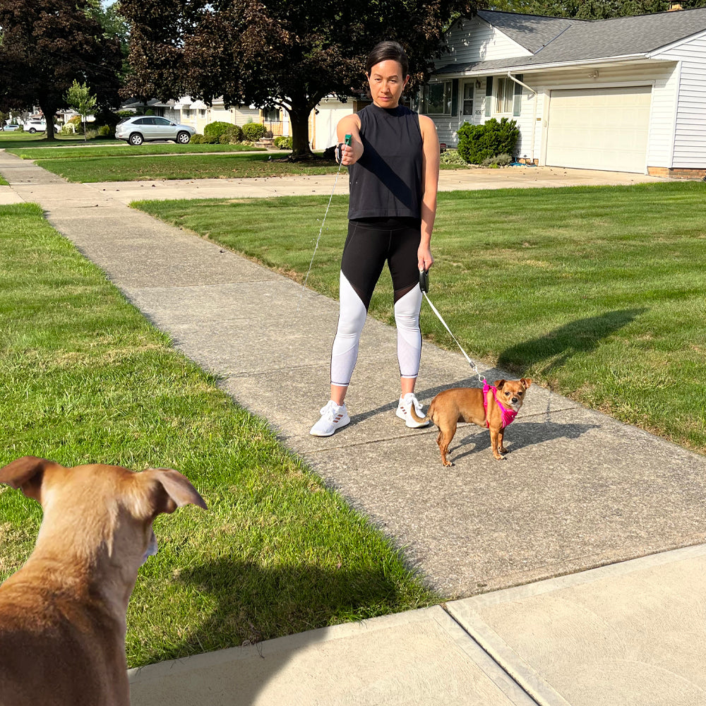 MACE® Muzzle Dog Repellent Pepper Spray with Keychain – 80536