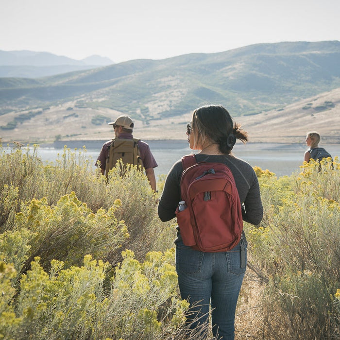 People with backpacks standing in a field with mountains in the background