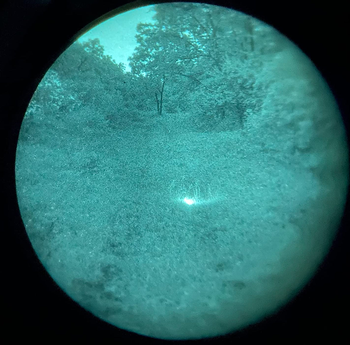 IR ChemLight glowing as a bright marker in a wooded field, seen through night vision