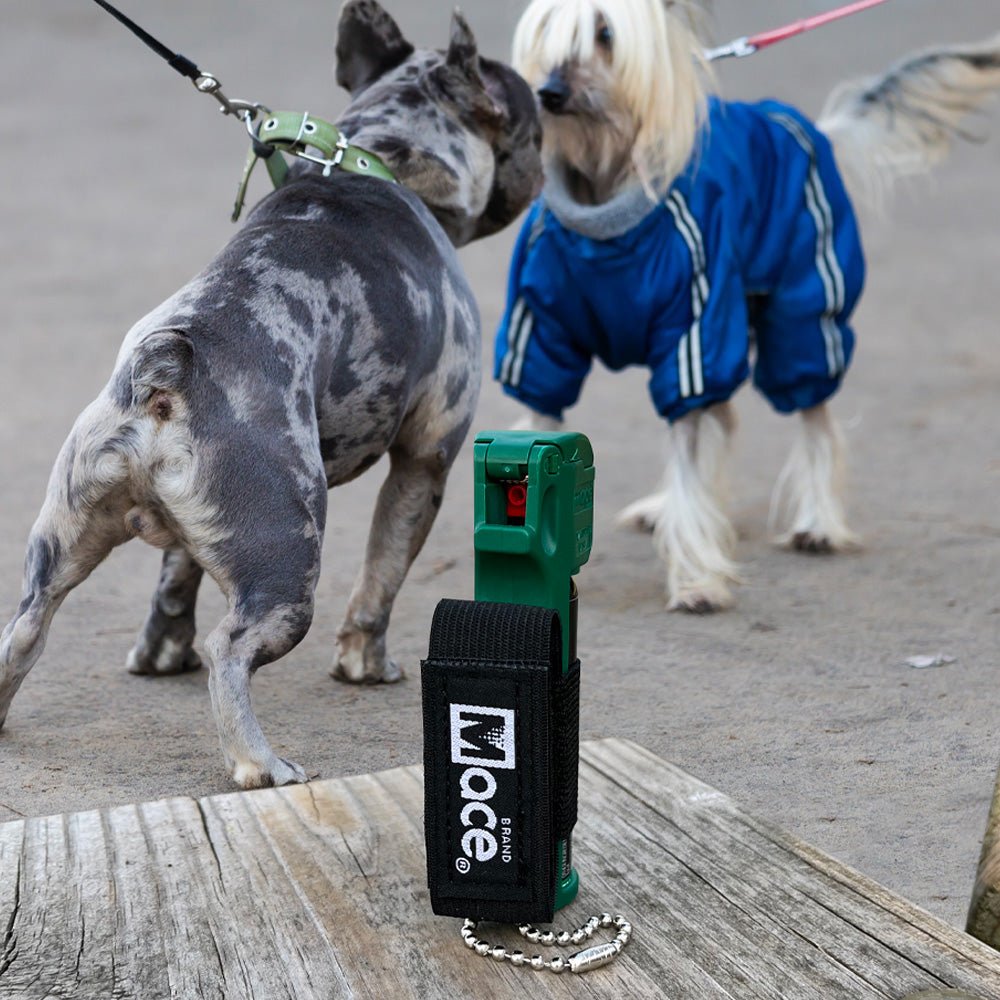 MACE® Muzzle Dog Repellent Pepper Spray with Keychain – 80536 - WCUniforms
