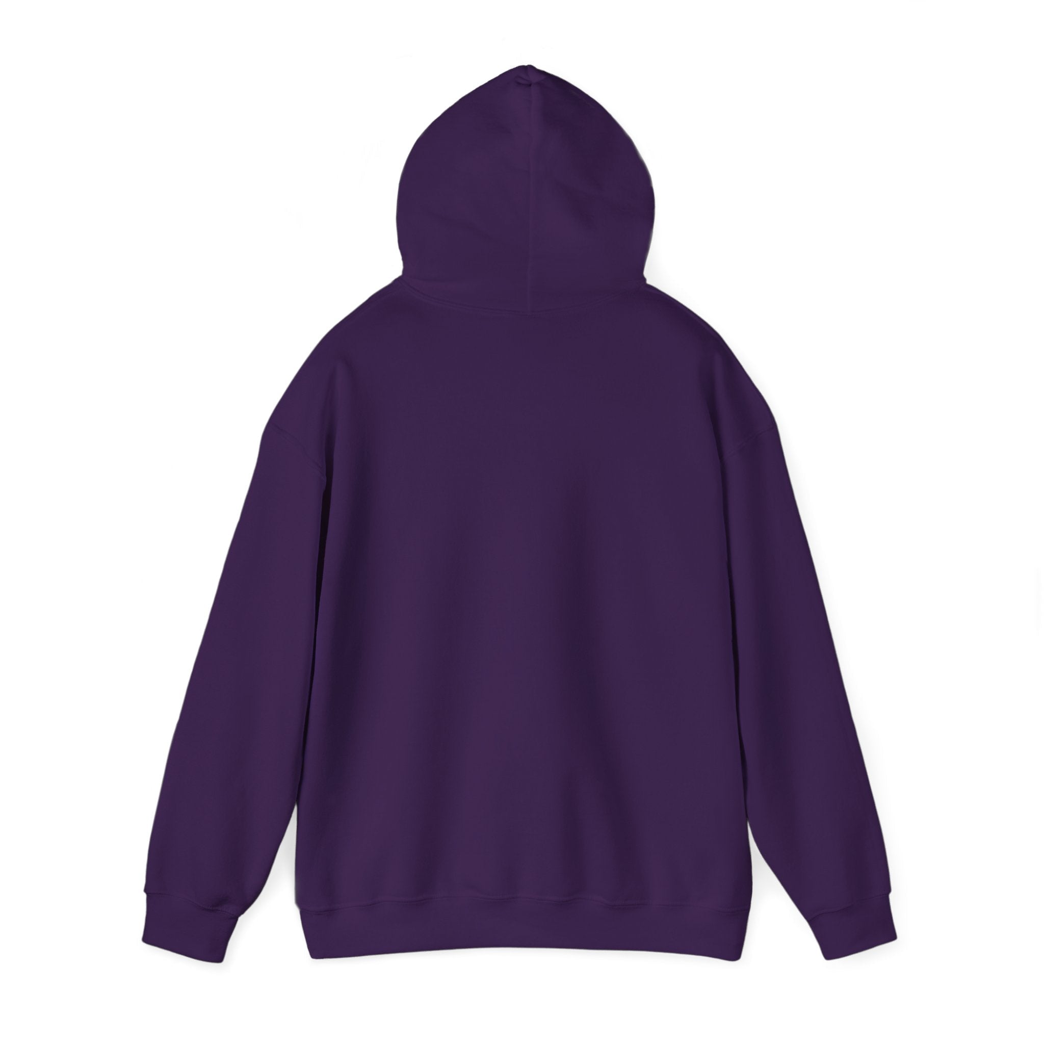 McDonnell Douglas MD-11 Airplane Unisex Heavy Blend™ Hoodie Poly/Cotton - Dark Colors - Hoodie - WCUniforms