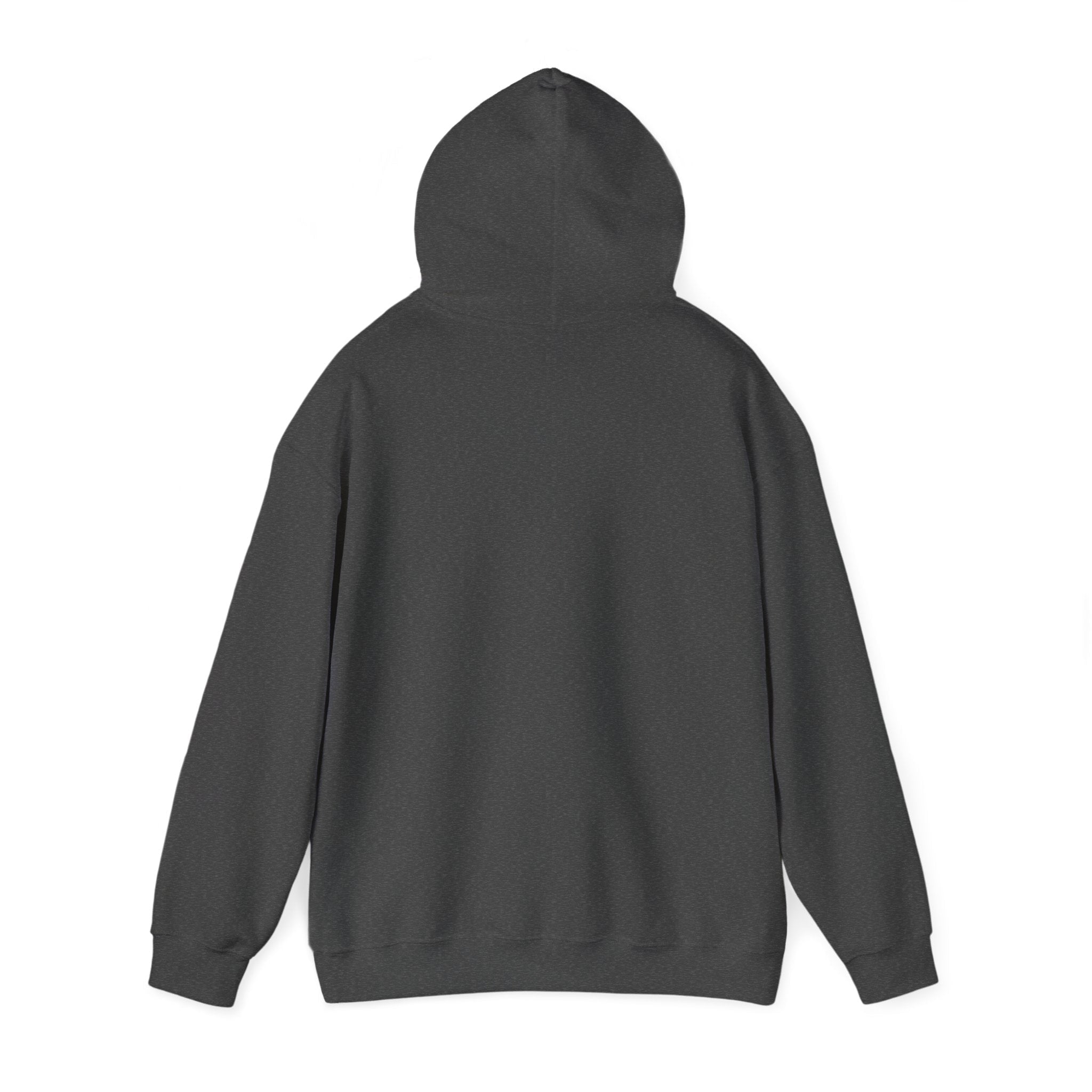 McDonnell Douglas MD-11 Airplane Unisex Heavy Blend™ Hoodie Poly/Cotton - Dark Colors - Hoodie - WCUniforms