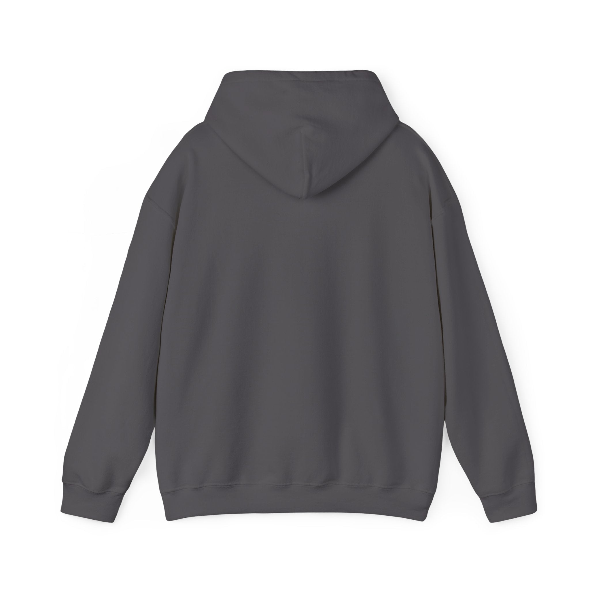 McDonnell Douglas MD-11 Airplane Unisex Heavy Blend™ Hoodie Poly/Cotton - Dark Colors - Hoodie - WCUniforms