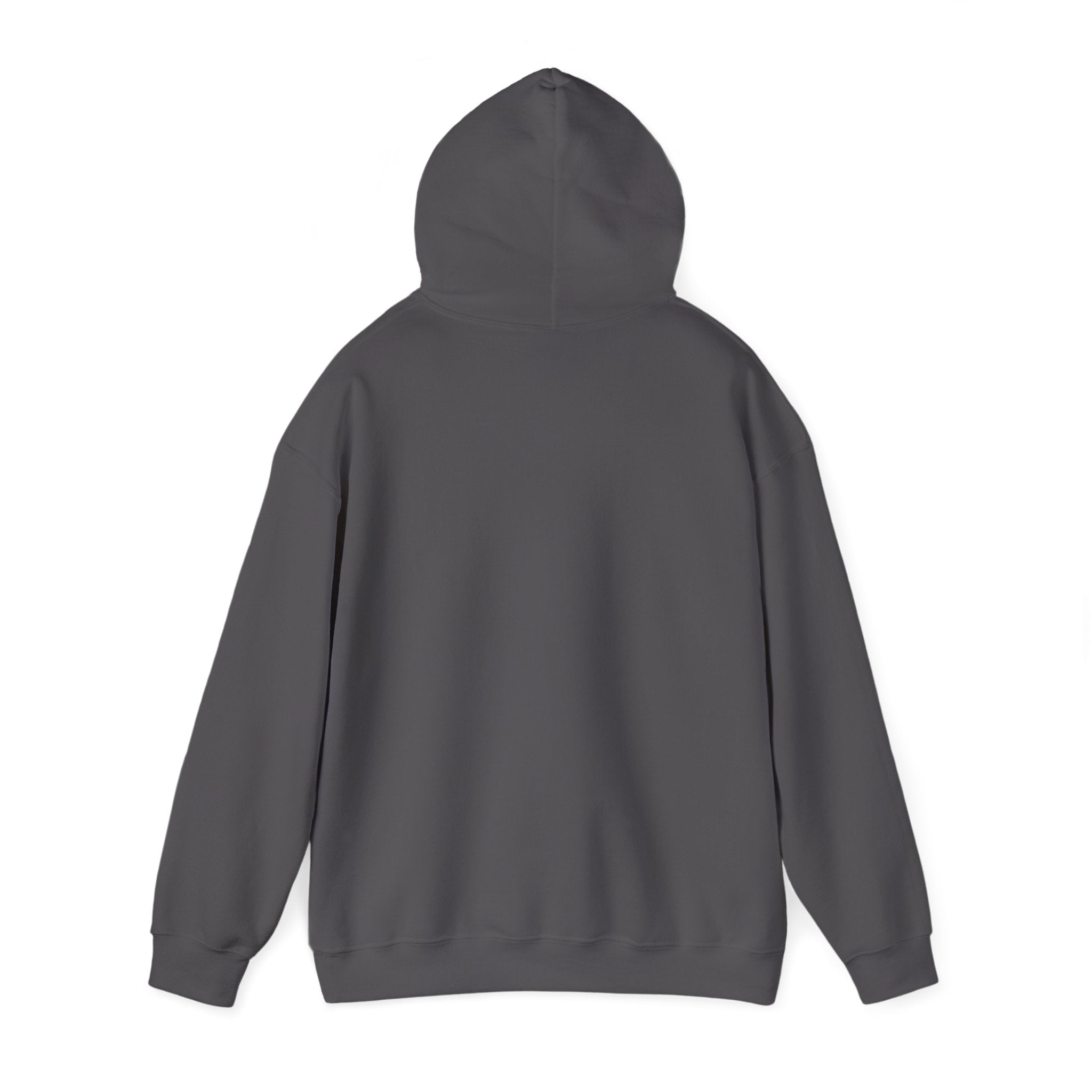McDonnell Douglas MD-11 Airplane Unisex Heavy Blend™ Hoodie Poly/Cotton - Dark Colors - Hoodie - WCUniforms