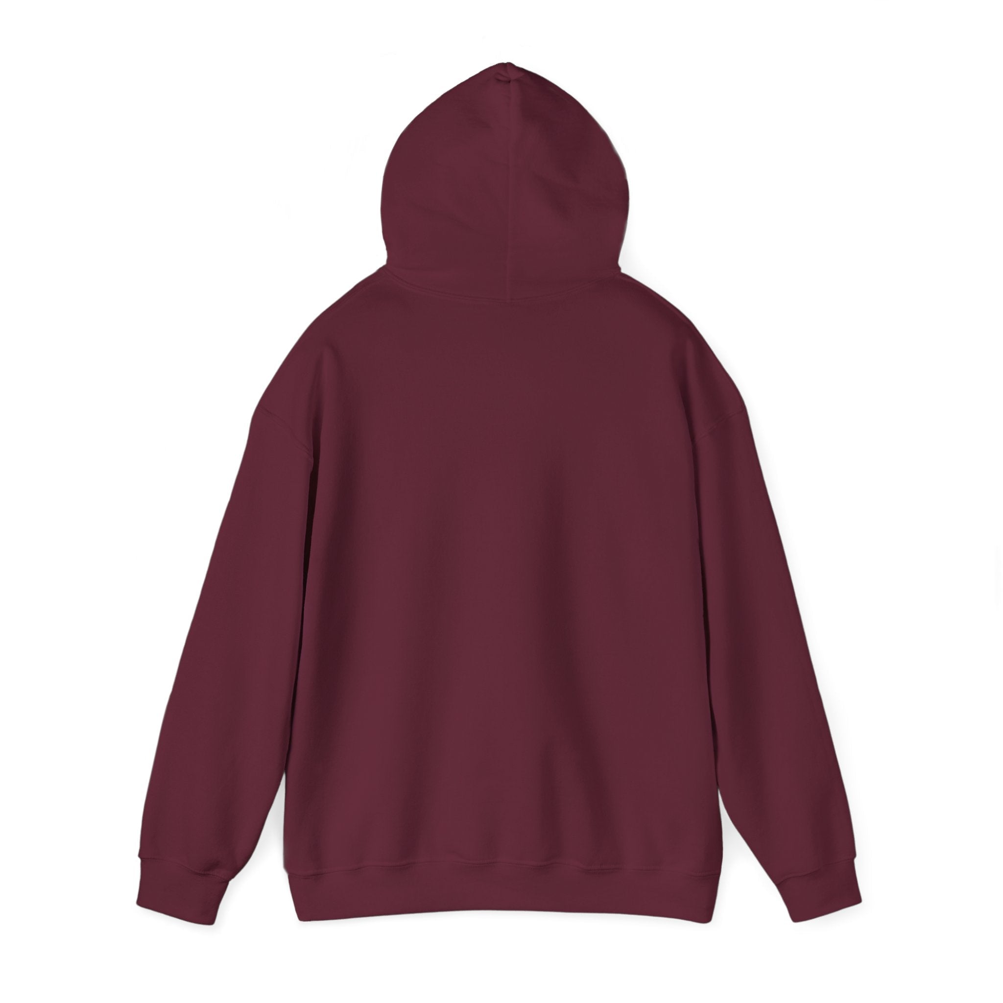 McDonnell Douglas MD-11 Airplane Unisex Heavy Blend™ Hoodie Poly/Cotton - Dark Colors - Hoodie - WCUniforms