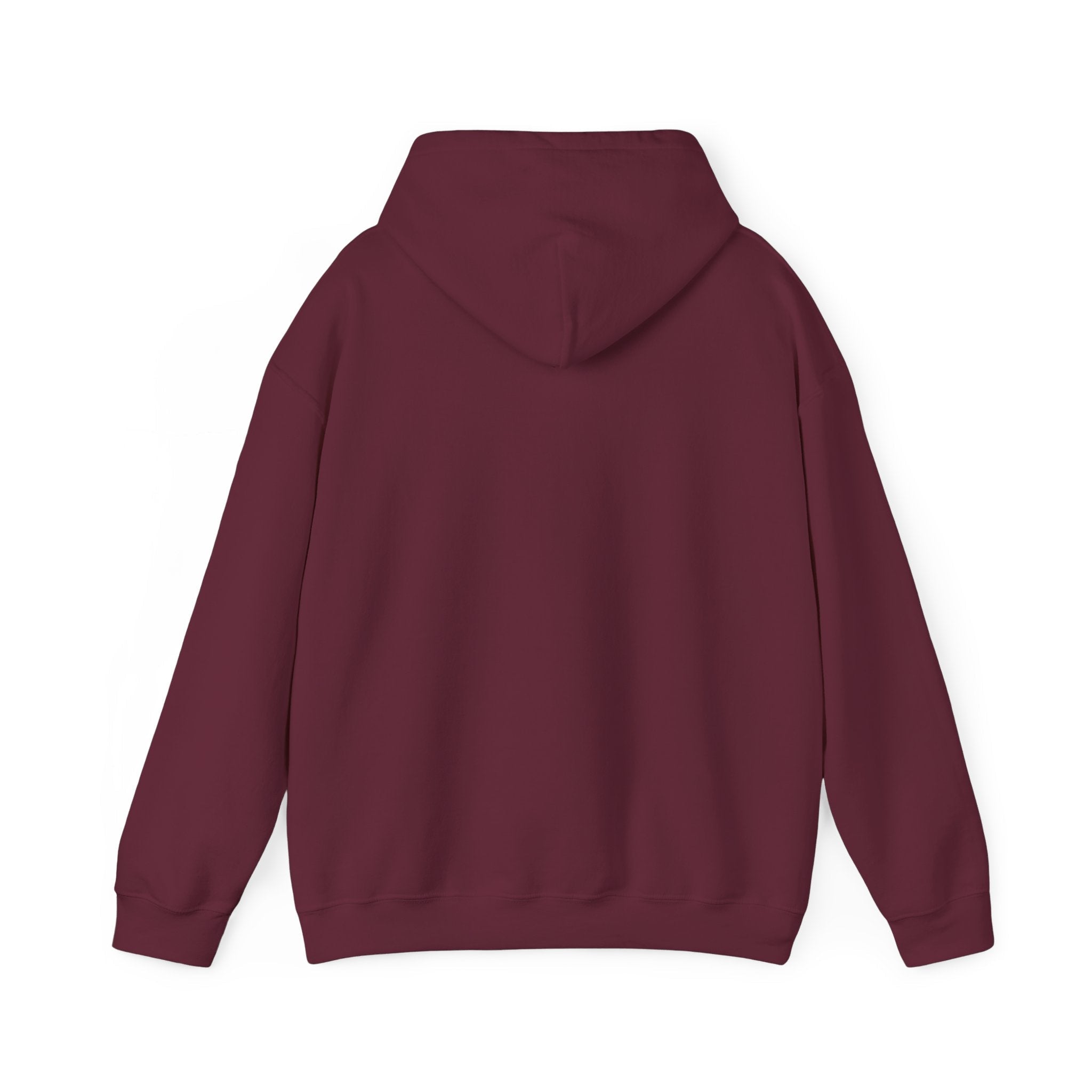 McDonnell Douglas MD-11 Airplane Unisex Heavy Blend™ Hoodie Poly/Cotton - Dark Colors - Hoodie - WCUniforms