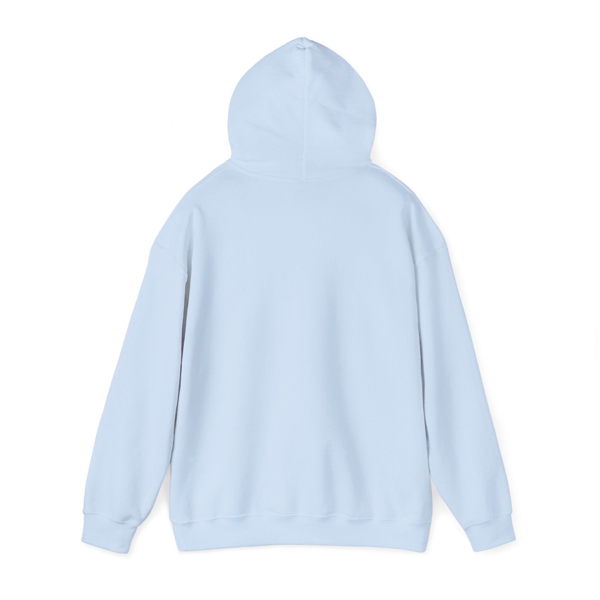 McDonnell Douglas MD-11 Airplane Unisex Heavy Blend™ Hoodie Poly/Cotton - Light Colors - Hoodie - WCUniforms
