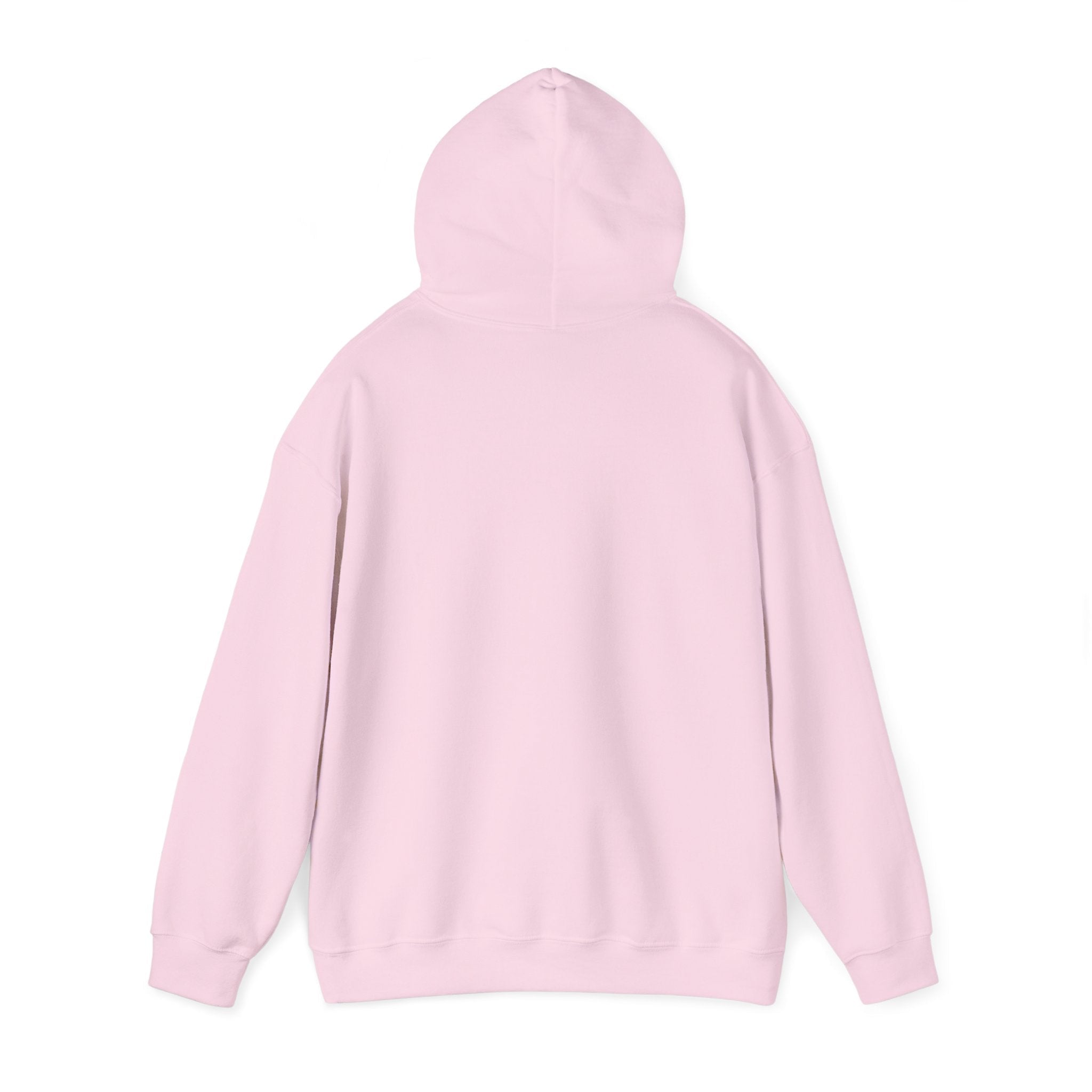 McDonnell Douglas MD-11 Airplane Unisex Heavy Blend™ Hoodie Poly/Cotton - Light Colors - Hoodie - WCUniforms