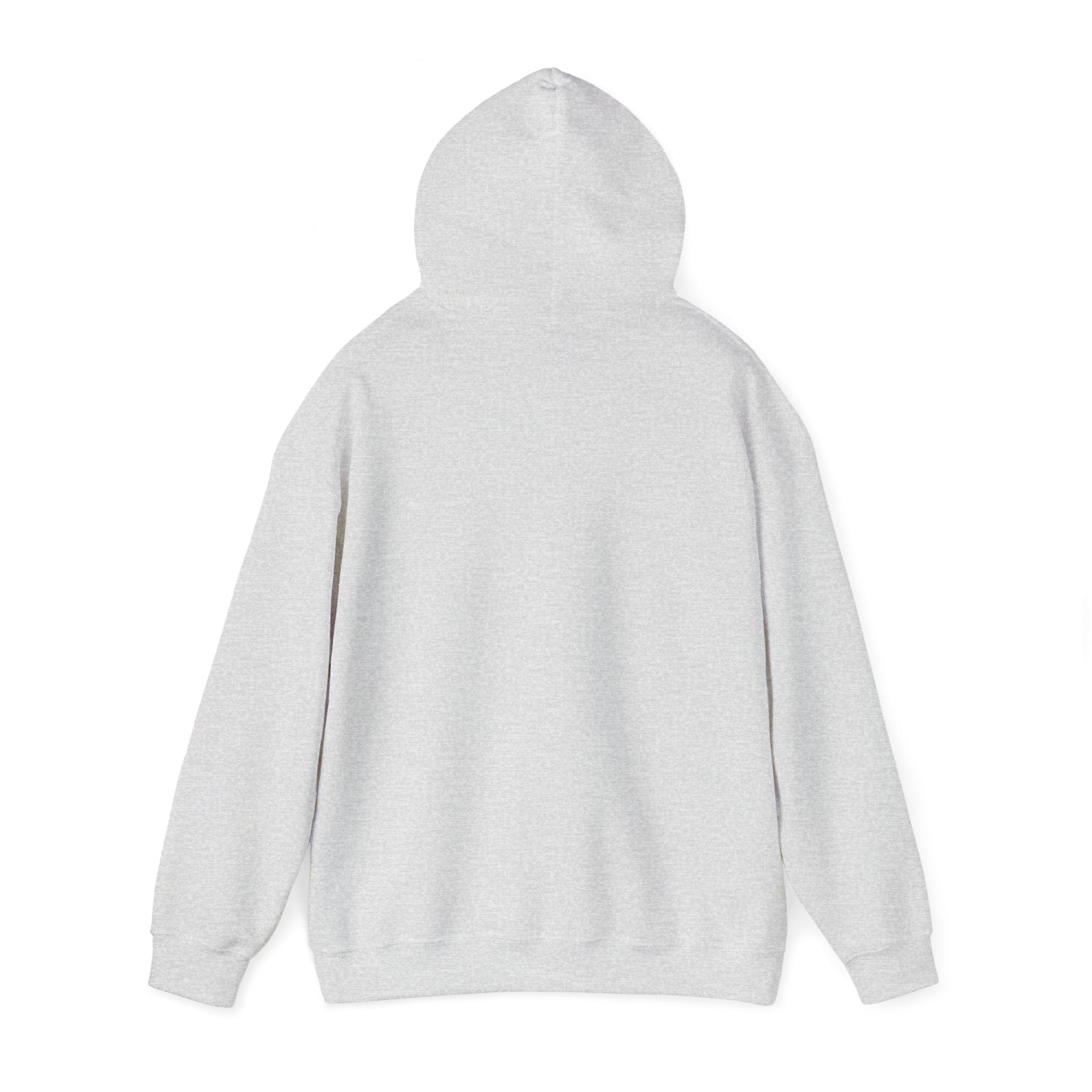 McDonnell Douglas MD-11 Airplane Unisex Heavy Blend™ Hoodie Poly/Cotton - Light Colors - Hoodie - WCUniforms