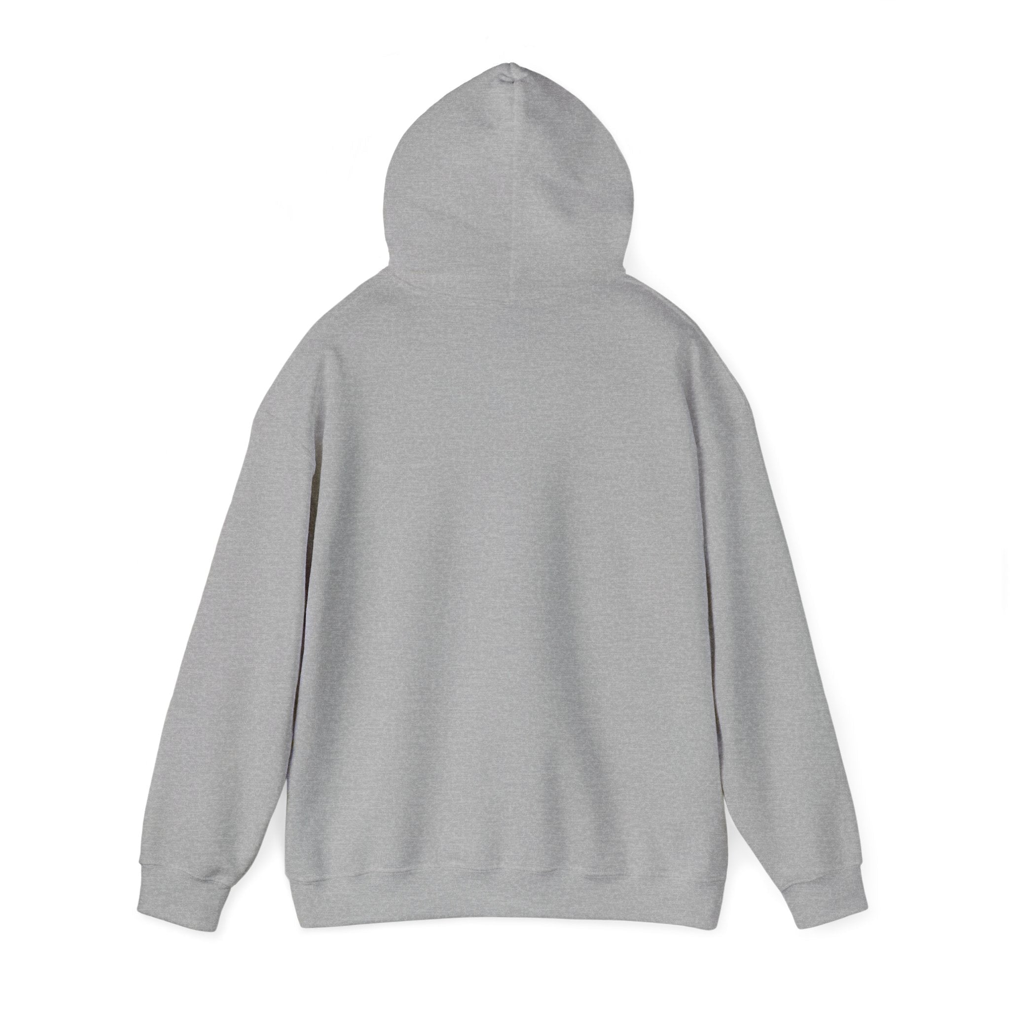 McDonnell Douglas MD-11 Airplane Unisex Heavy Blend™ Hoodie Poly/Cotton - Light Colors - Hoodie - WCUniforms