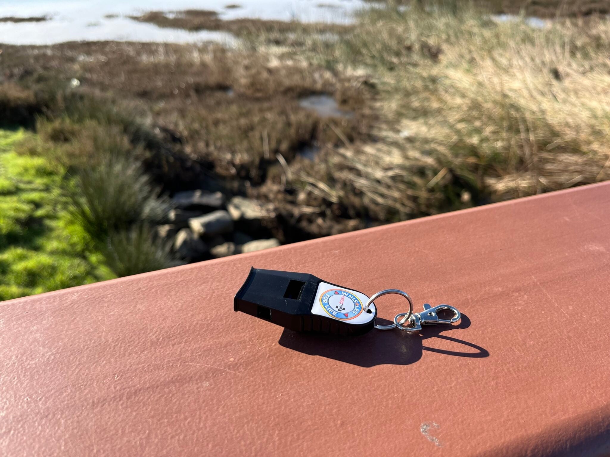 Black and silver keychain device on a wooden surface with grass and water in the background