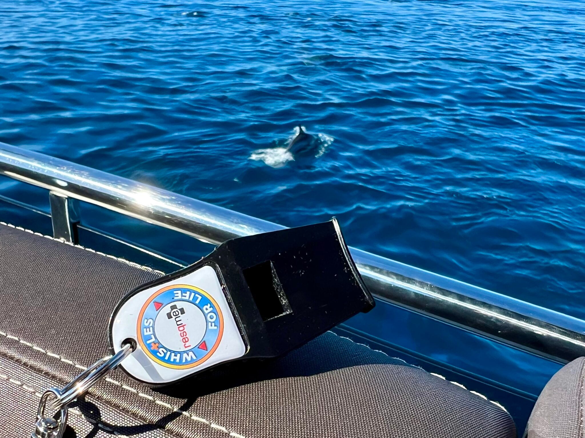 Whistle on a boat railing with a dolphin in the water