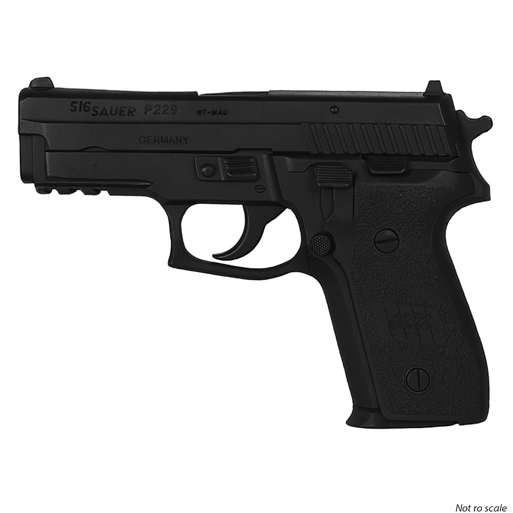 Ring's BlueGuns Sig Sauer P229R Training Gun | FSP229R - WCUniforms
