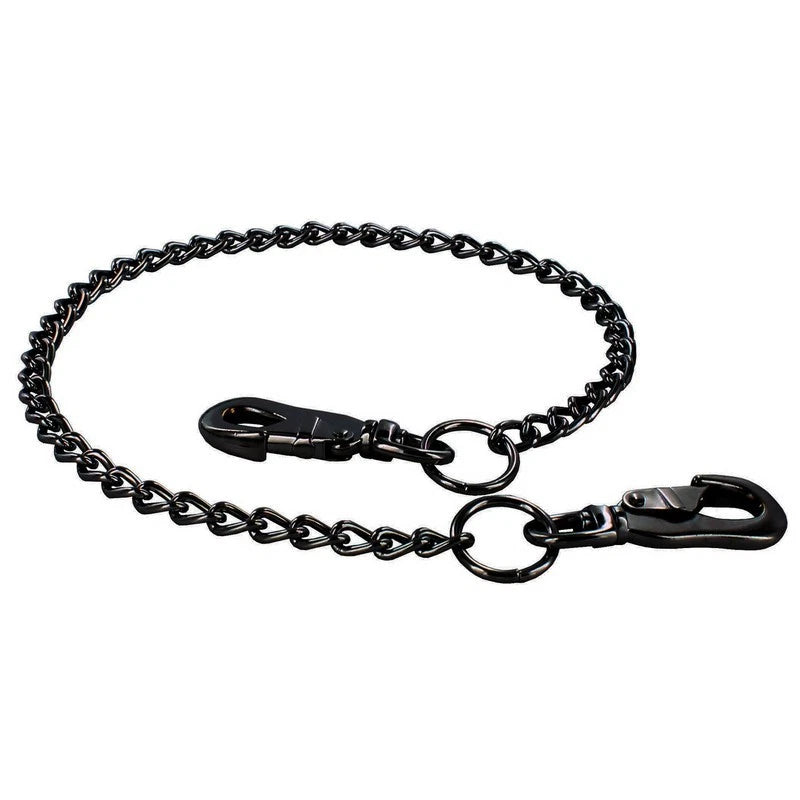 Black chain leash with clasp on a white background