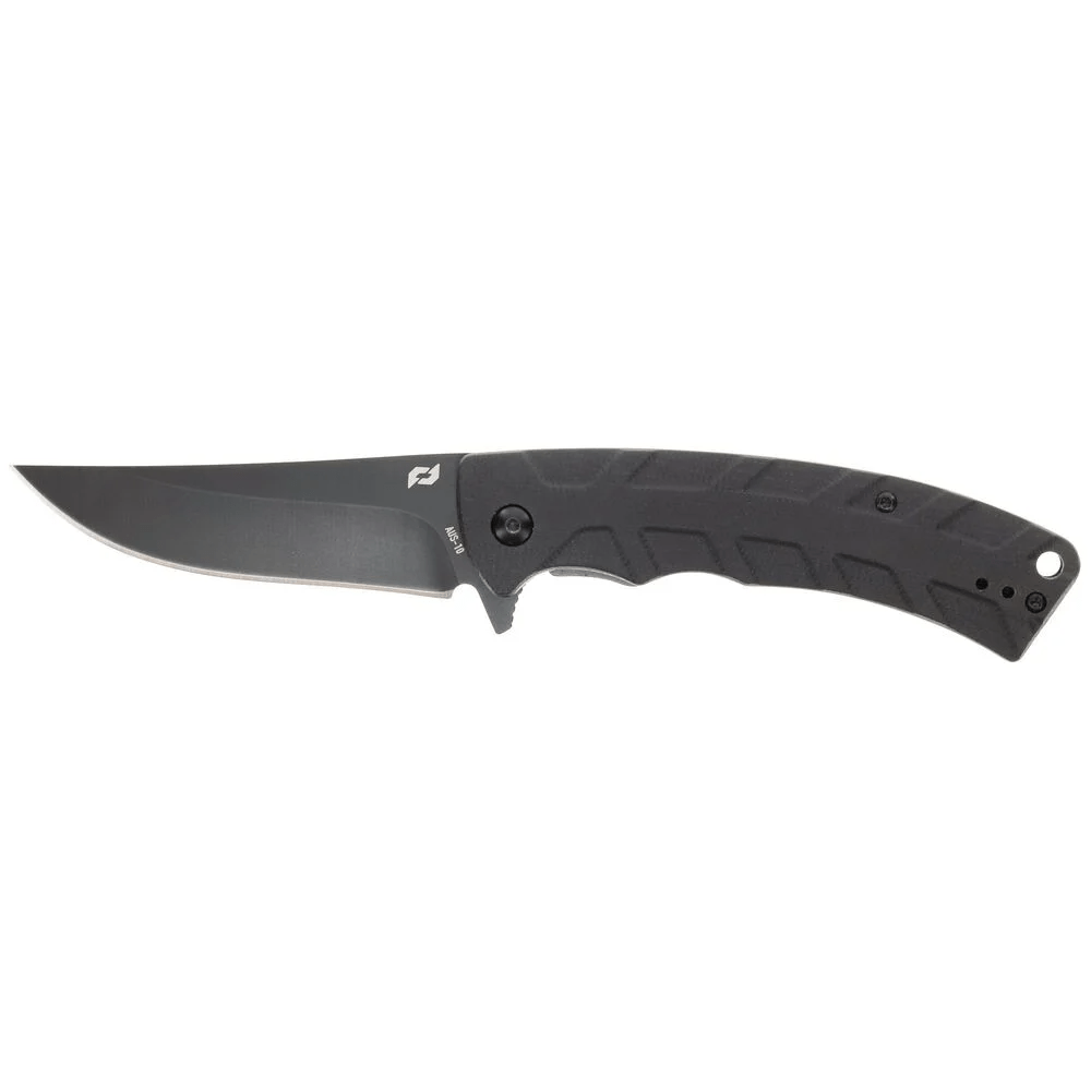Smith & Wesson Ferocity Assisted Opening Folder knife with AUS-10 stainless steel blade and G10 handle. Ideal for outdoor adventures.