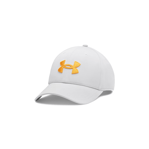 Under Armour UA Blitzing Low Men's Stretch Fit Cap 1376700 - WCUniforms