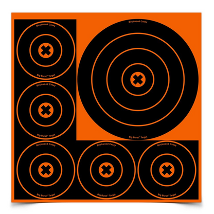 Birchwood Casey Big Burst 8 Inch & 4 Inch Bull's-Eye Target, 3 Sheets - Newest Products