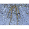 High Speed Gear Low Drag Suspenders 1.5" - Clothing &amp; Accessories