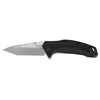 Kershaw Link Folding Knife - Knives