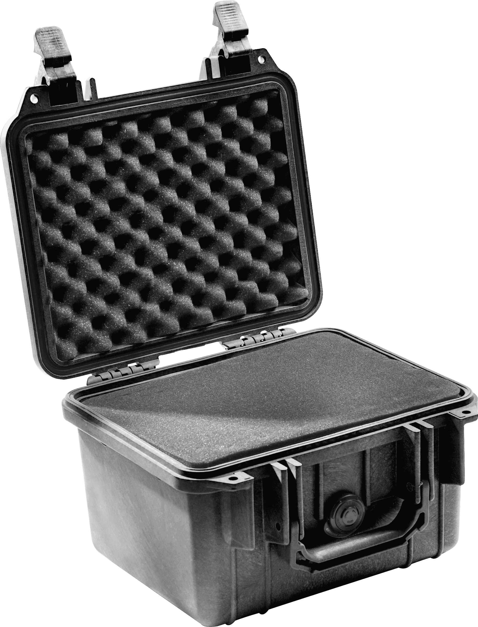 Pelican Products 1300 Protector Case - Black, Foam