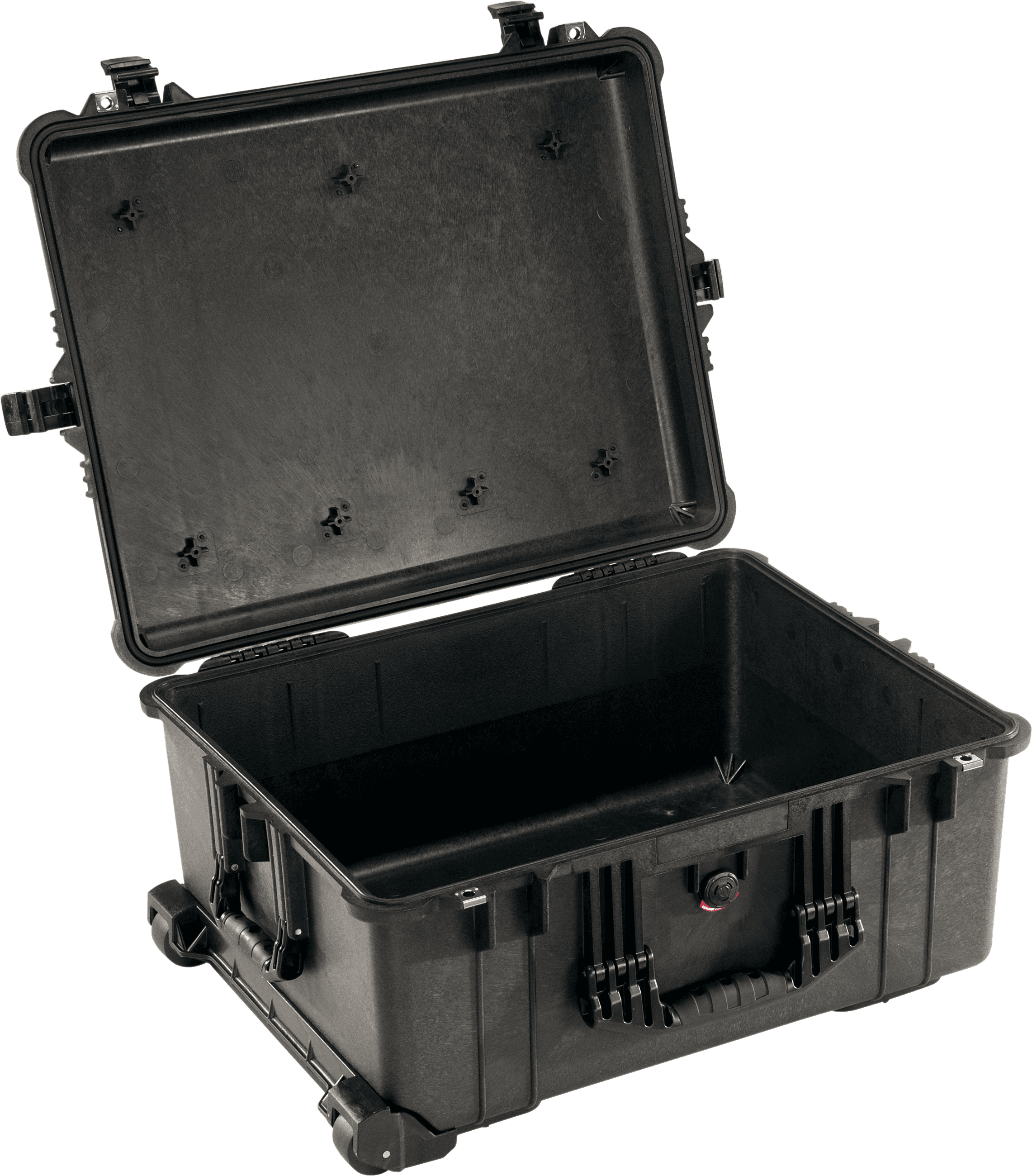 Pelican Products 1610 Protector Case - Black, No Foam
