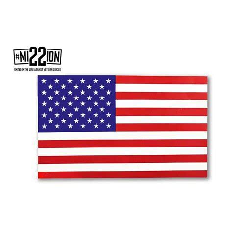 Thin Blue Line American Flag Sticker - Red/White/Blue - Clothing & Accessories
