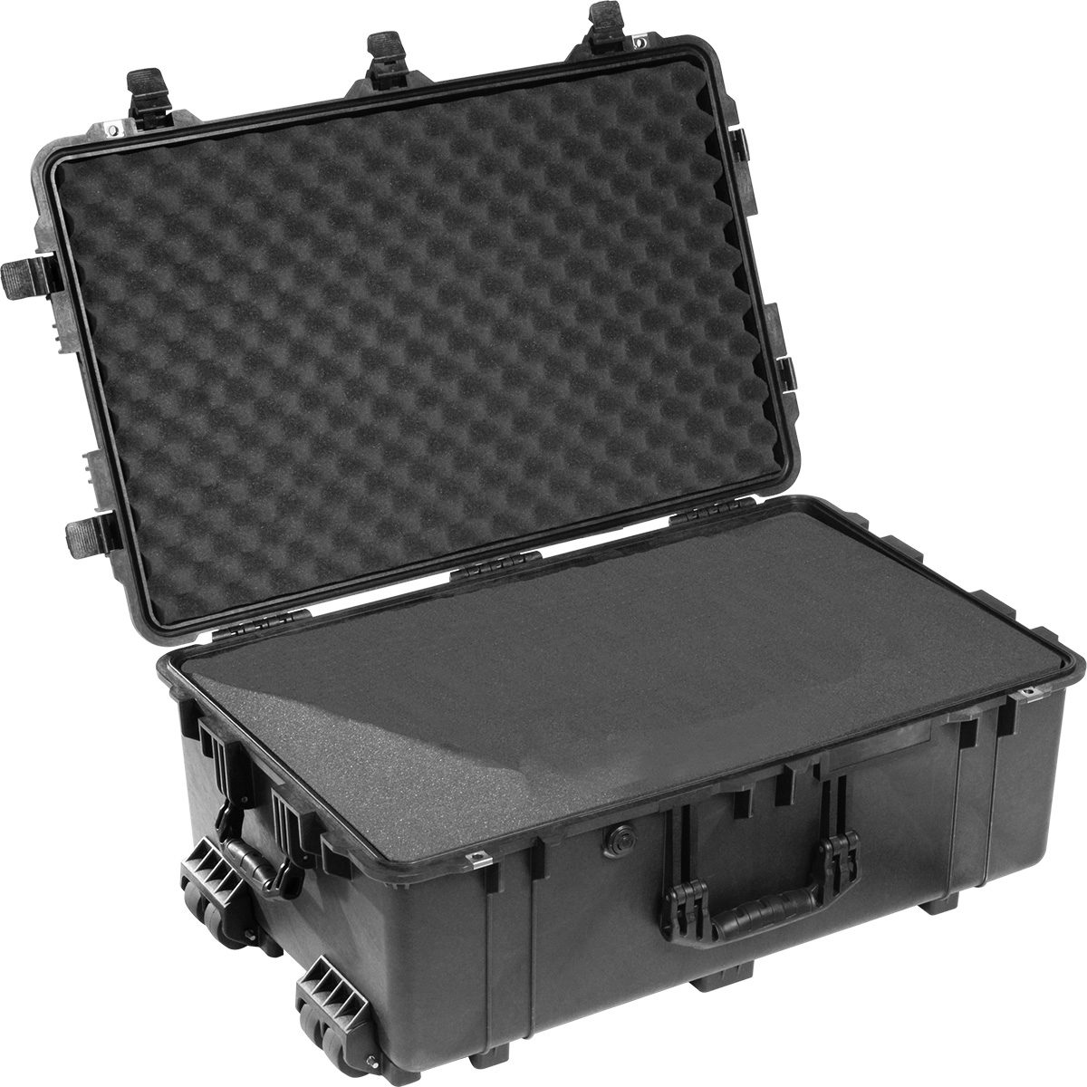 Pelican Products 1650 Protector Case - Black, Foam