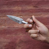 BNB Knives Push Fixed Dagger BNB15256 - Knives