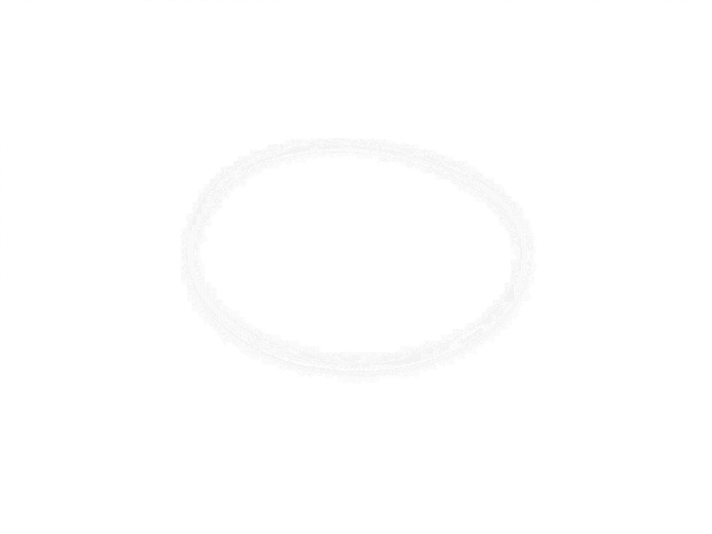 Streamlight Replacement O-Ring - Tactical &amp; Duty Gear
